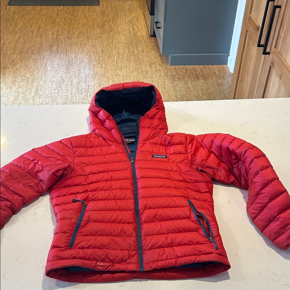 Men’s Patagonia Small Down Sweater Hoody